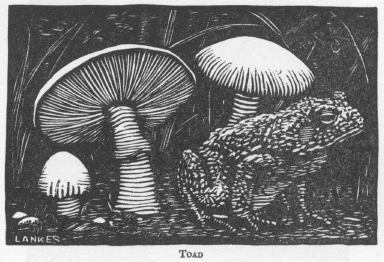 O dear mushroom! Linoleum Block Print - Grant Thomas Online